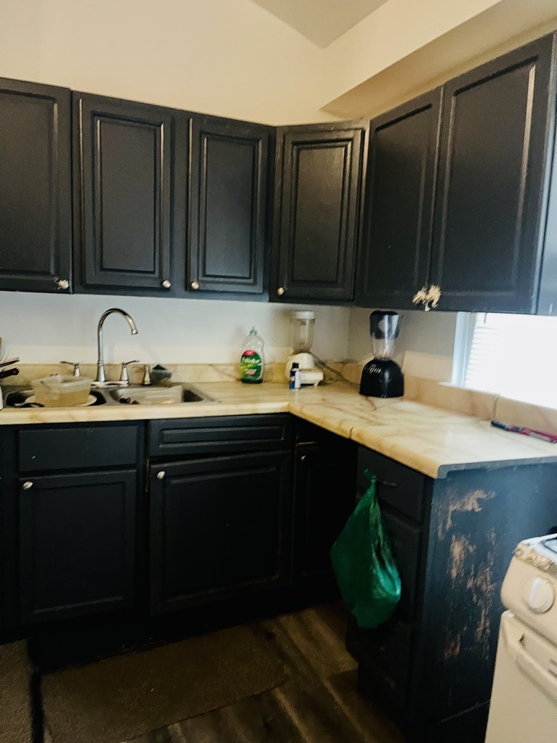 3513 West Beach Avenue Chicago, IL 60651 - Photo 5 of 17