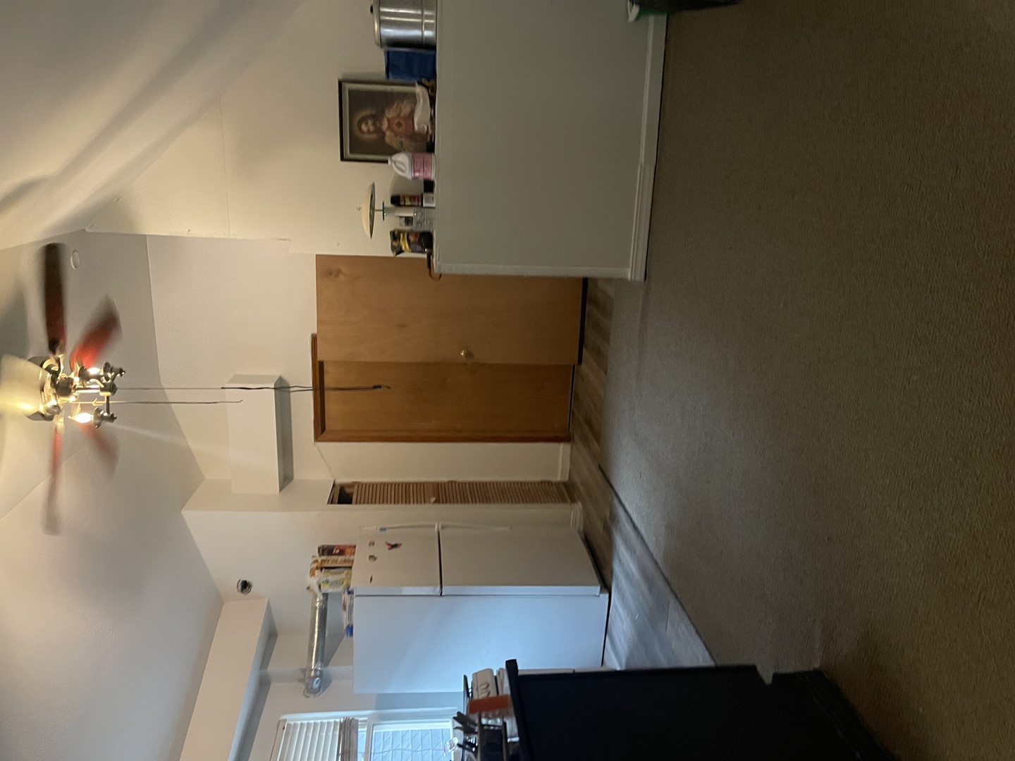 3513 West Beach Avenue Chicago, IL 60651 - Photo 9 of 17