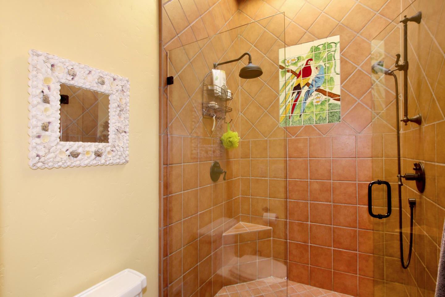 195 Vía Concha Aptos, CA 95003 - Photo 32 of 50 a bathroom with a shower