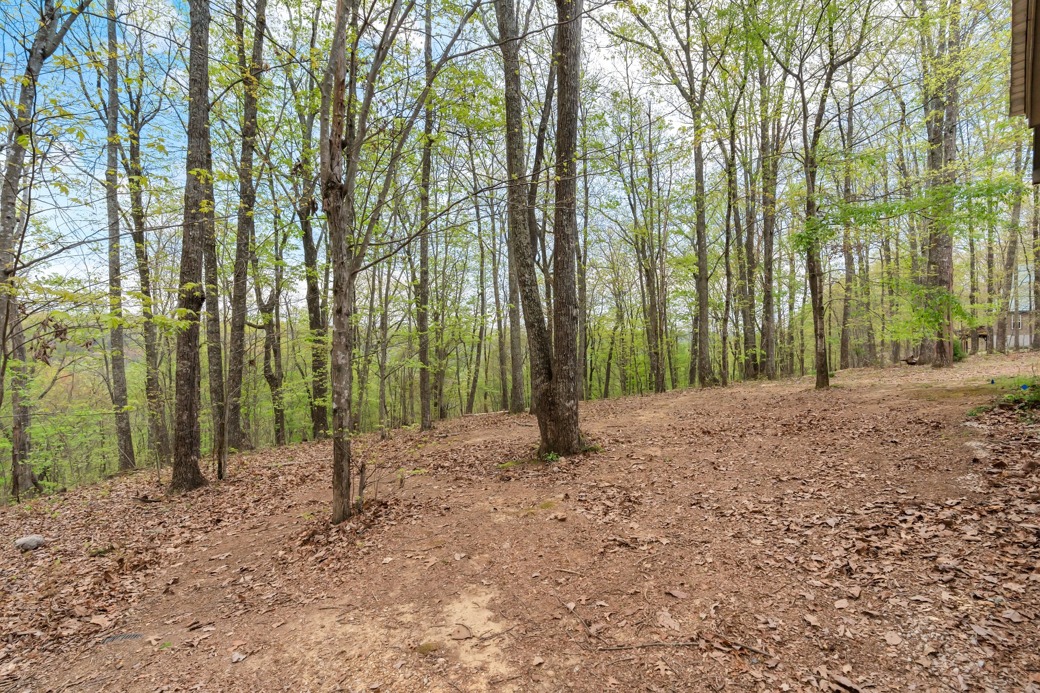 1702 Ridge Cliff Drive Monteagle, TN 37356 - Photo 49 of 54 Gallery Image 49