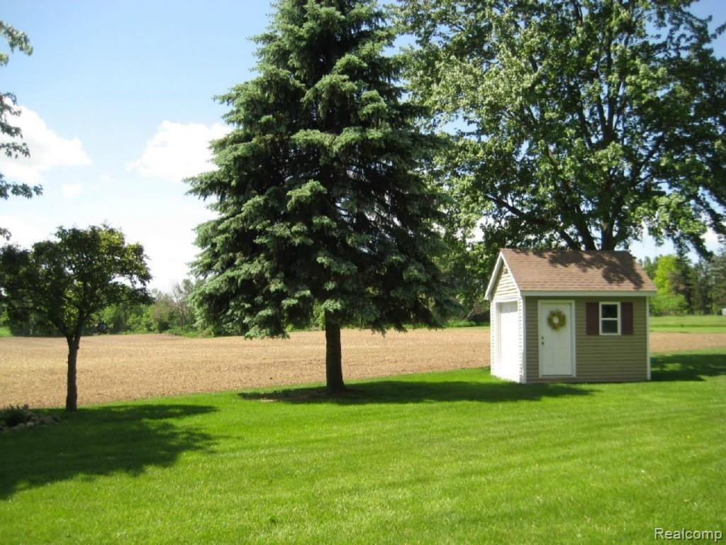 11054 36 Mile Road Romeo, MI 48065 - Photo 27 of 30 #26 Back Yard.jpg