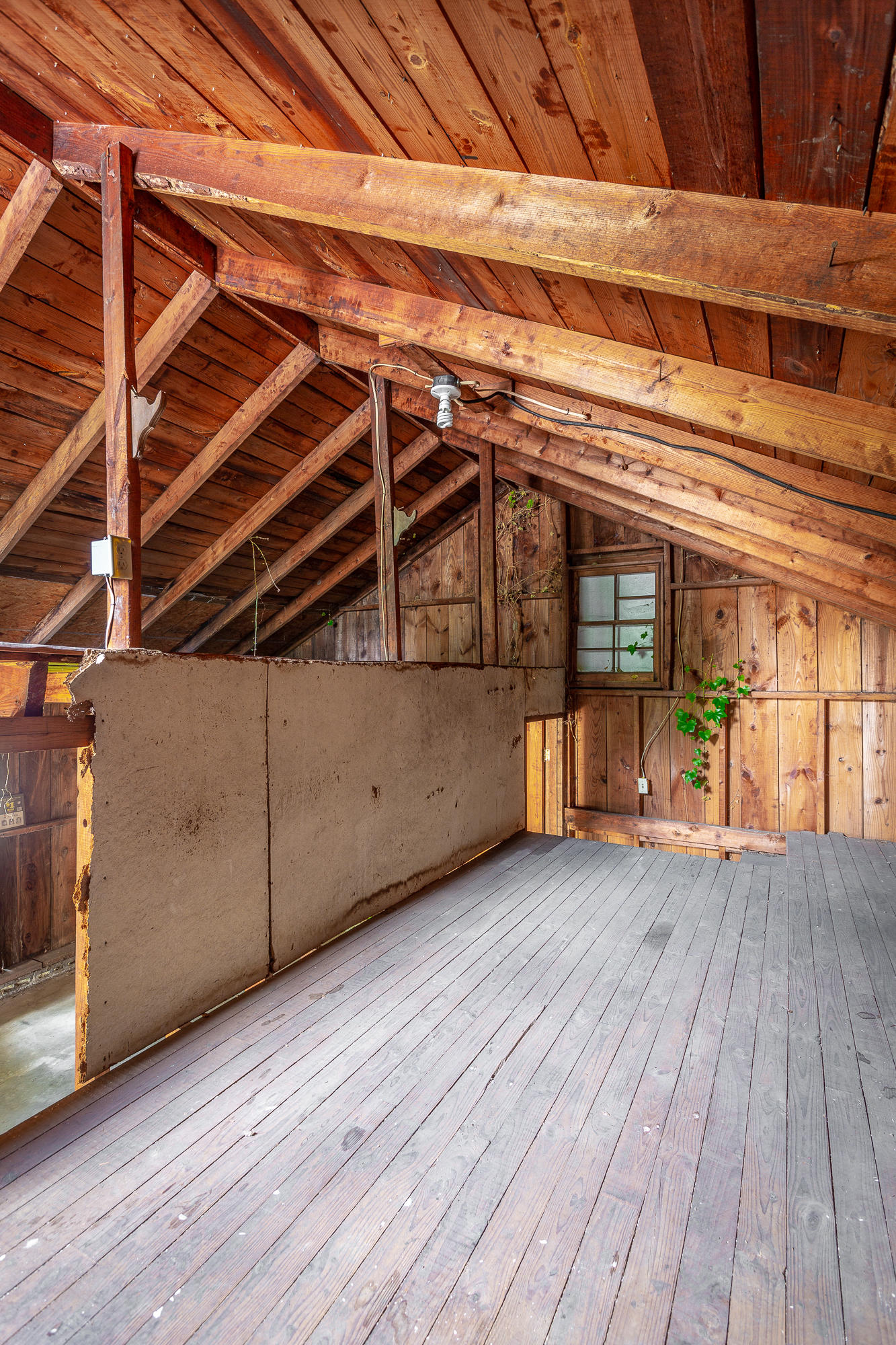 803 Young Avenue Chattanooga, TN 37405 - Photo 29 of 30 803 Young Ave. HD-33