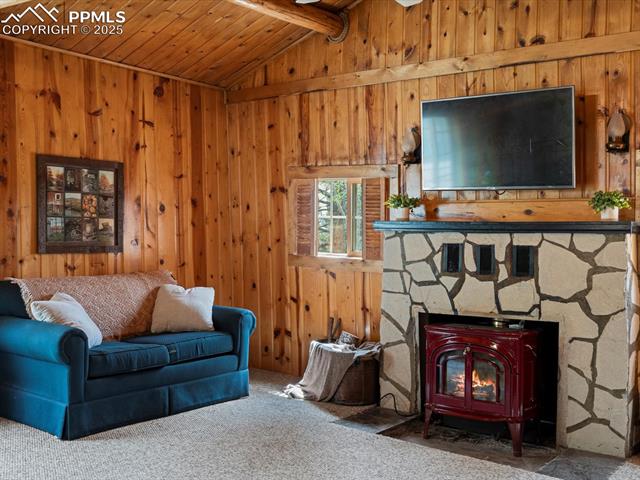 103 Alpine Road Woodland Park, CO 80863 - Photo 36 of 47 Gallery Image 36