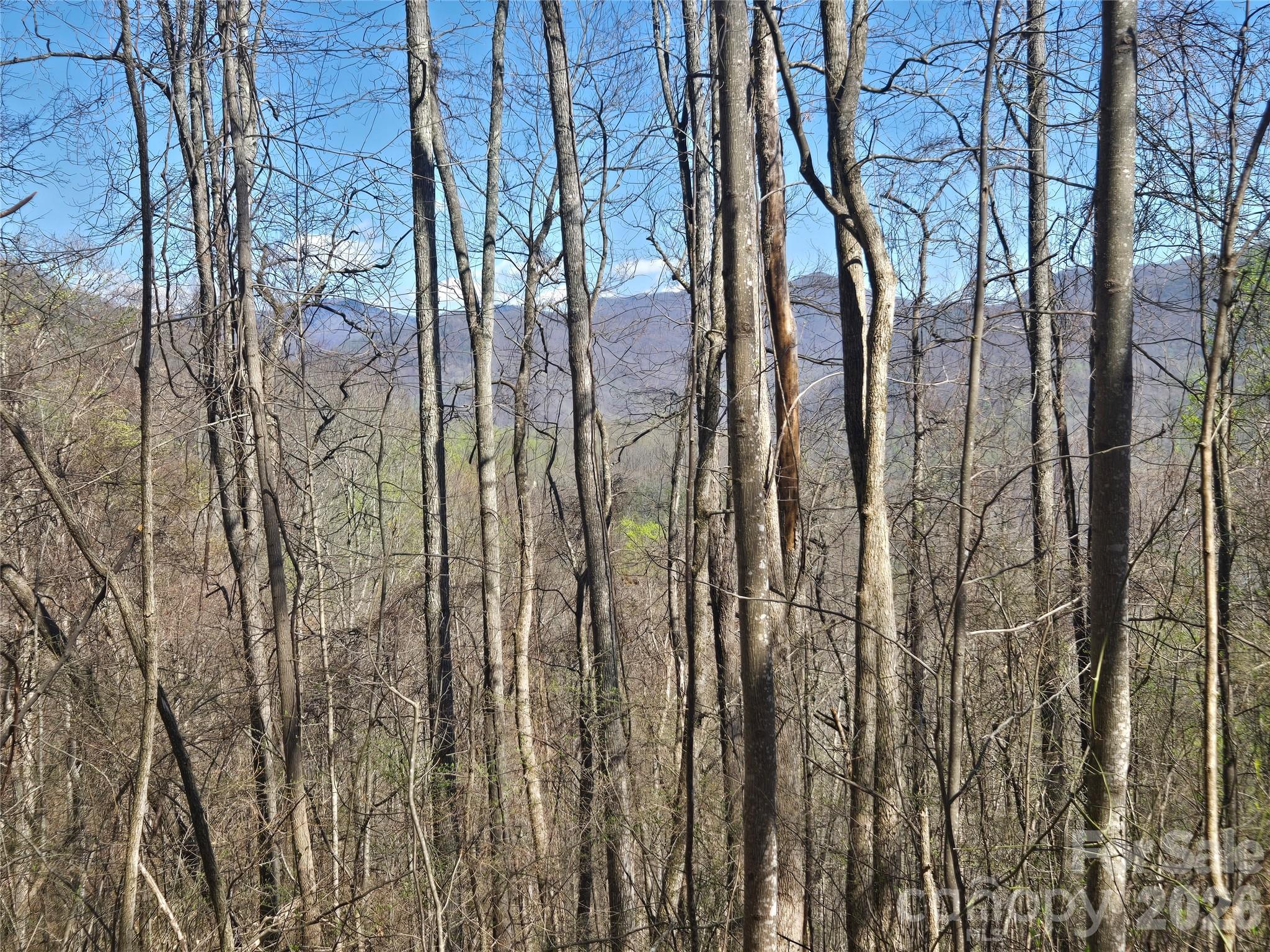 0 Brasstown Road Cullowhee, NC 28723 - Photo 20 of 37 Gallery Image 20