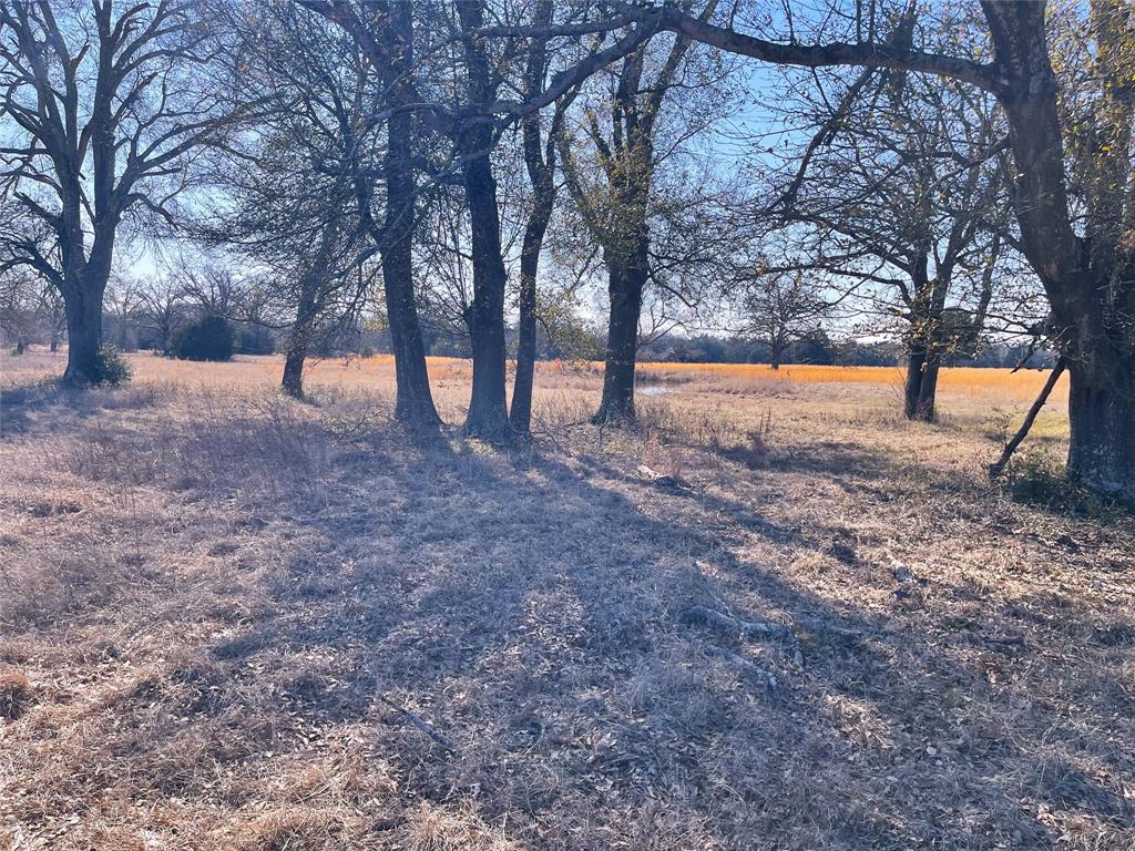 755 Fcr 601 Fairfield, TX 75840 - Photo 14 of 15