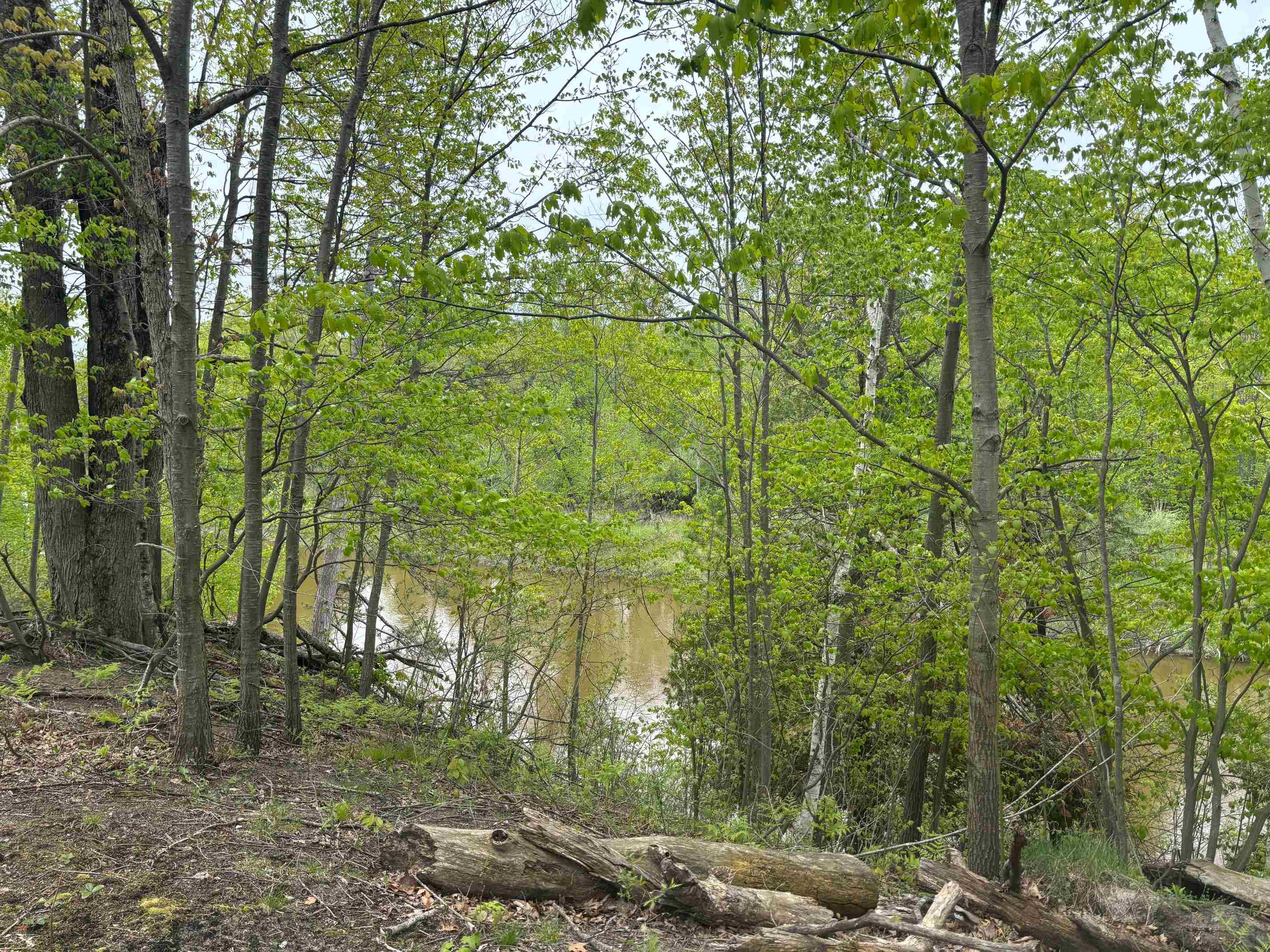 1240 Birch Ridge Road Gladwin, MI 48624 - Photo 19 of 41