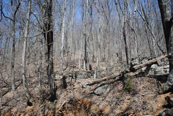 2403 Newsome Gap Road Rising Fawn, GA 30738 - Photo 1 of 4 newsome