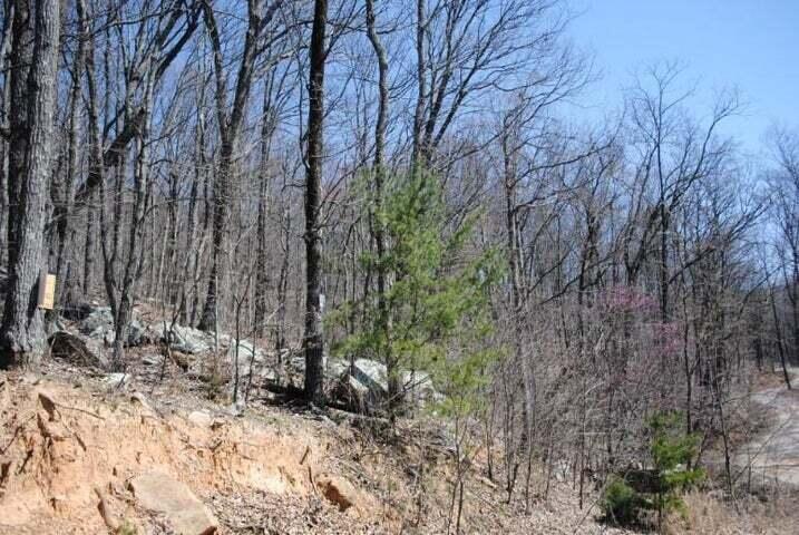 2403 Newsome Gap Road Rising Fawn, GA 30738 - Photo 3 of 4 newsome3