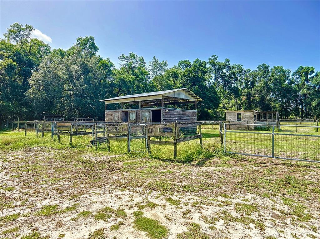 3040 Northeast 97th Street Road Anthony, FL 32617 - Photo 51 of 65