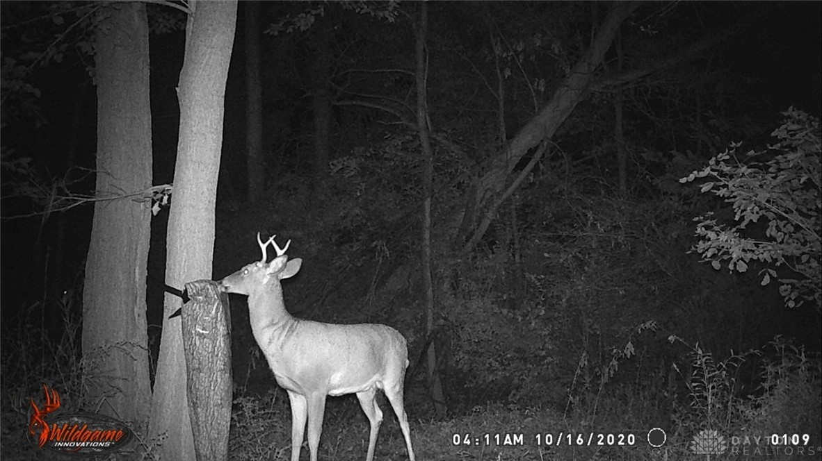 7587 West State Rte 29 De Graff, OH 43318 - Photo 47 of 48