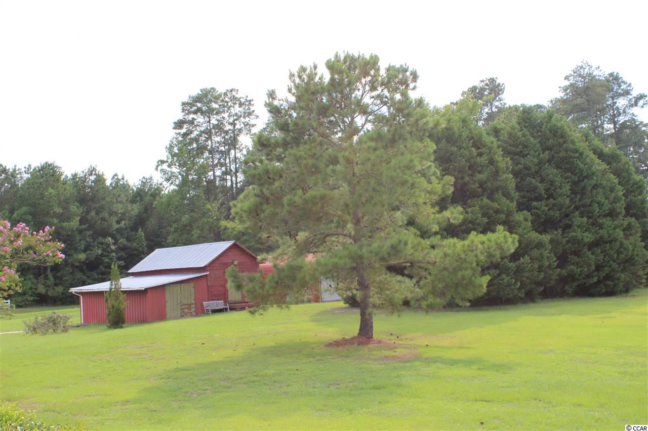 6750 Irvin Enzor Road Nichols, SC 29581 - Photo 29 of 40 Gallery Image 29