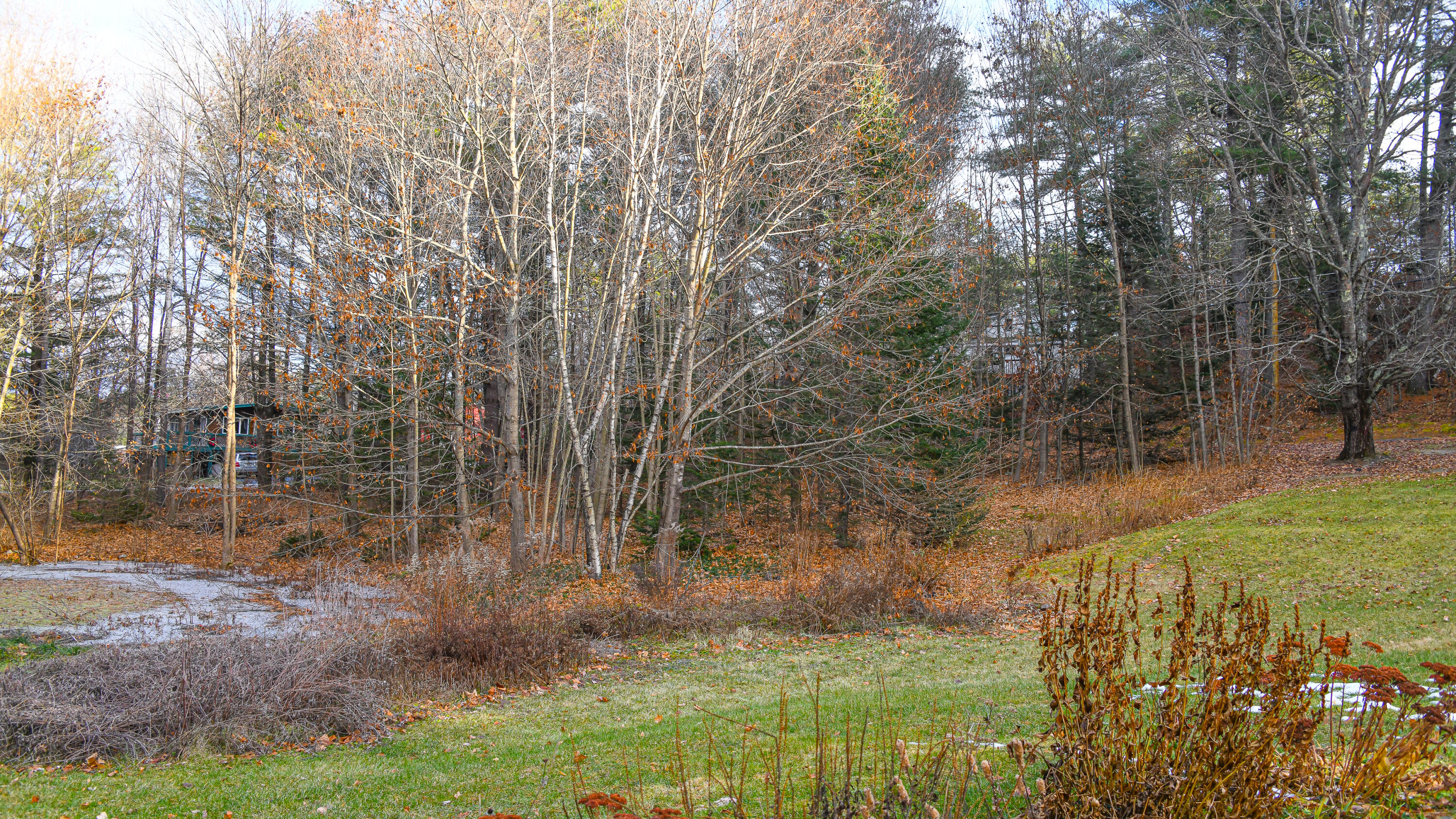 1 Caton Road Raymond, ME 04071 - Photo 39 of 75 Side Lawn