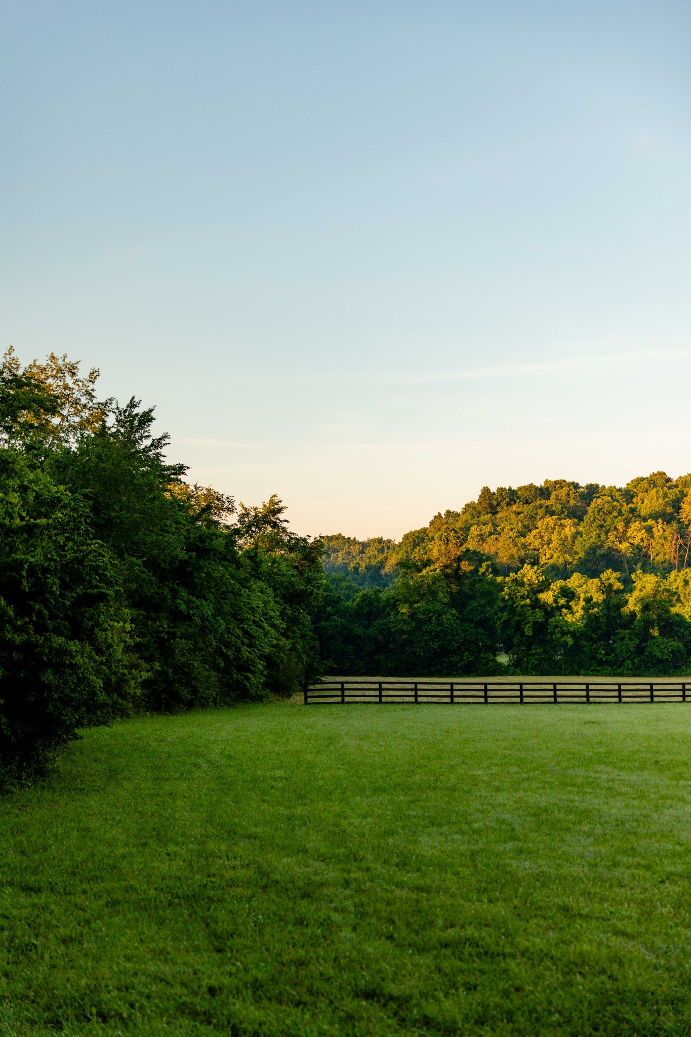 0 Robinson Road Franklin, TN 37064 - Photo 6 of 28