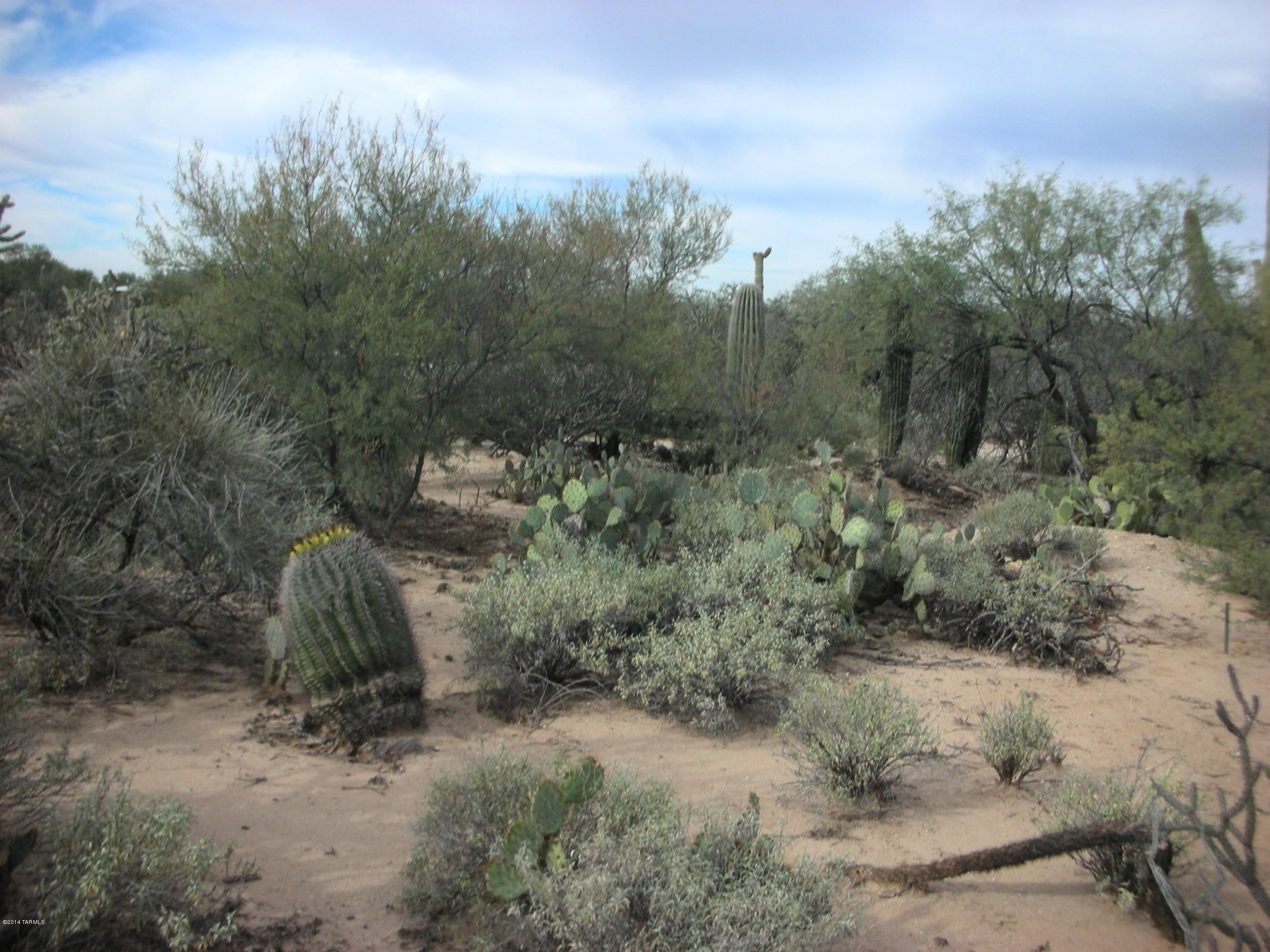 2440 West Glover Road Oro Valley, AZ 85742 - Photo 7 of 12