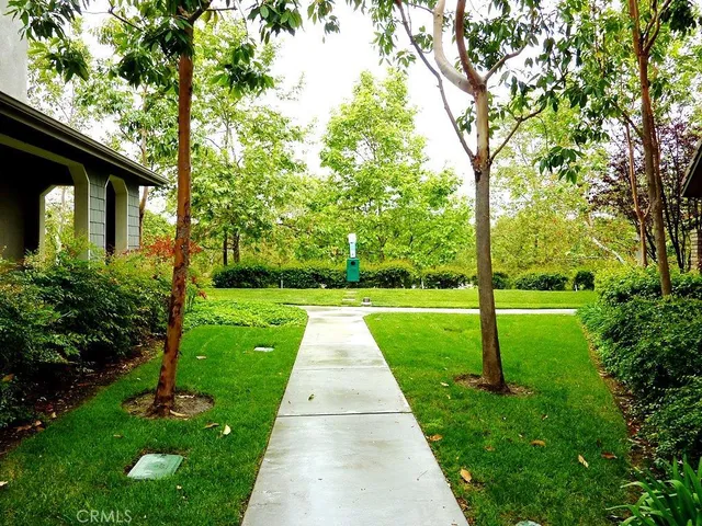 a view of a yard with plants