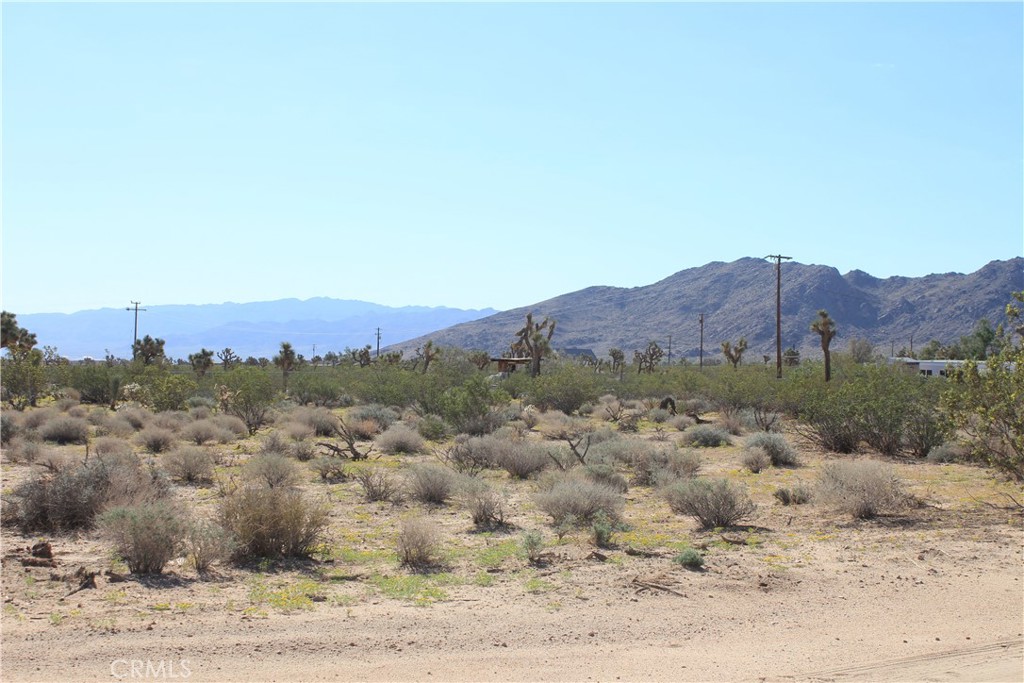 3025 Piper Road Yucca Valley, CA 92284 - Photo 1 of 1 a view of a dry field