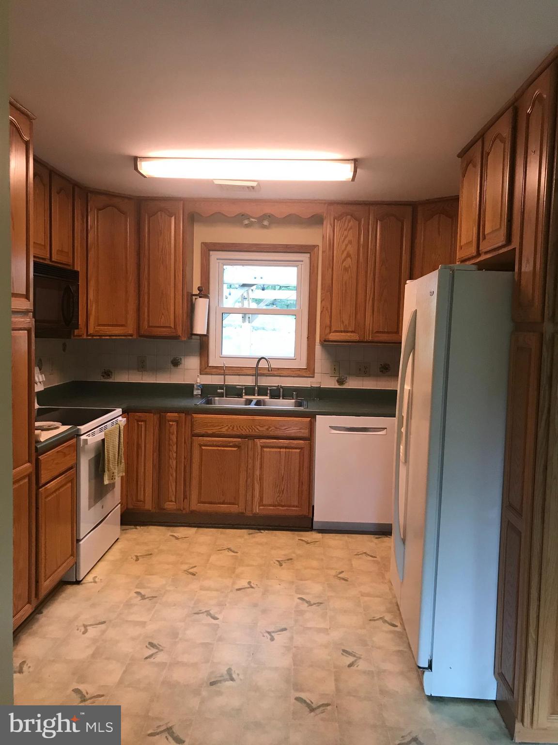 19106 Lappans Road Boonsboro, MD 21713 - Photo 14 of 53 Kitchen with nice cabinets to the ceiling.