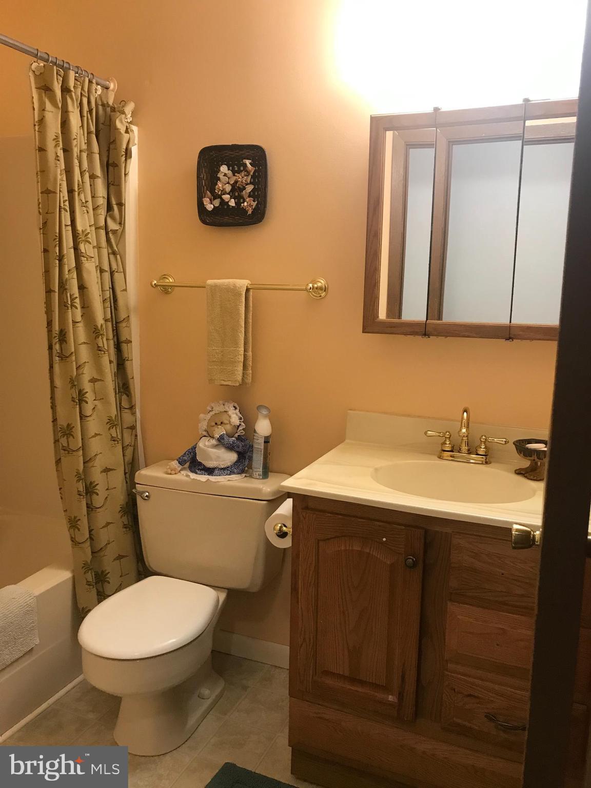 19106 Lappans Road Boonsboro, MD 21713 - Photo 21 of 53 Hall bath.