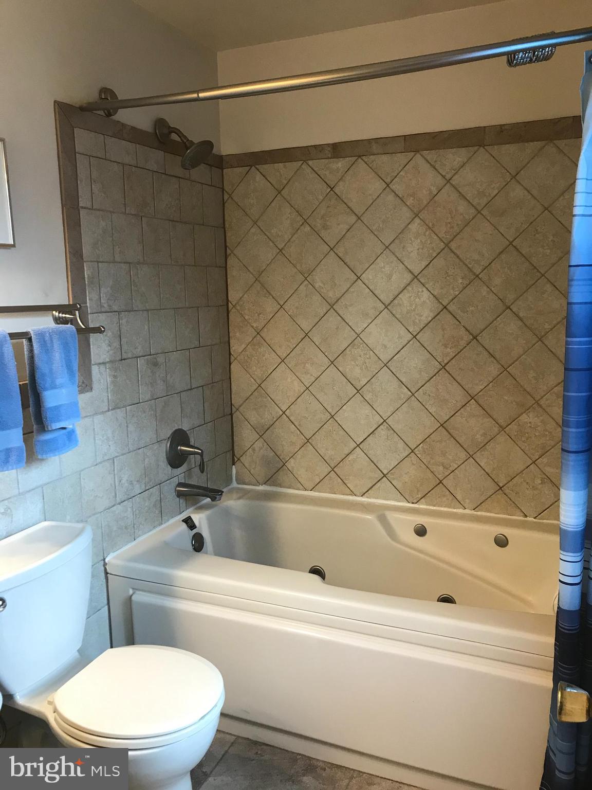 19106 Lappans Road Boonsboro, MD 21713 - Photo 29 of 53 Master bath, with jetted tub.
