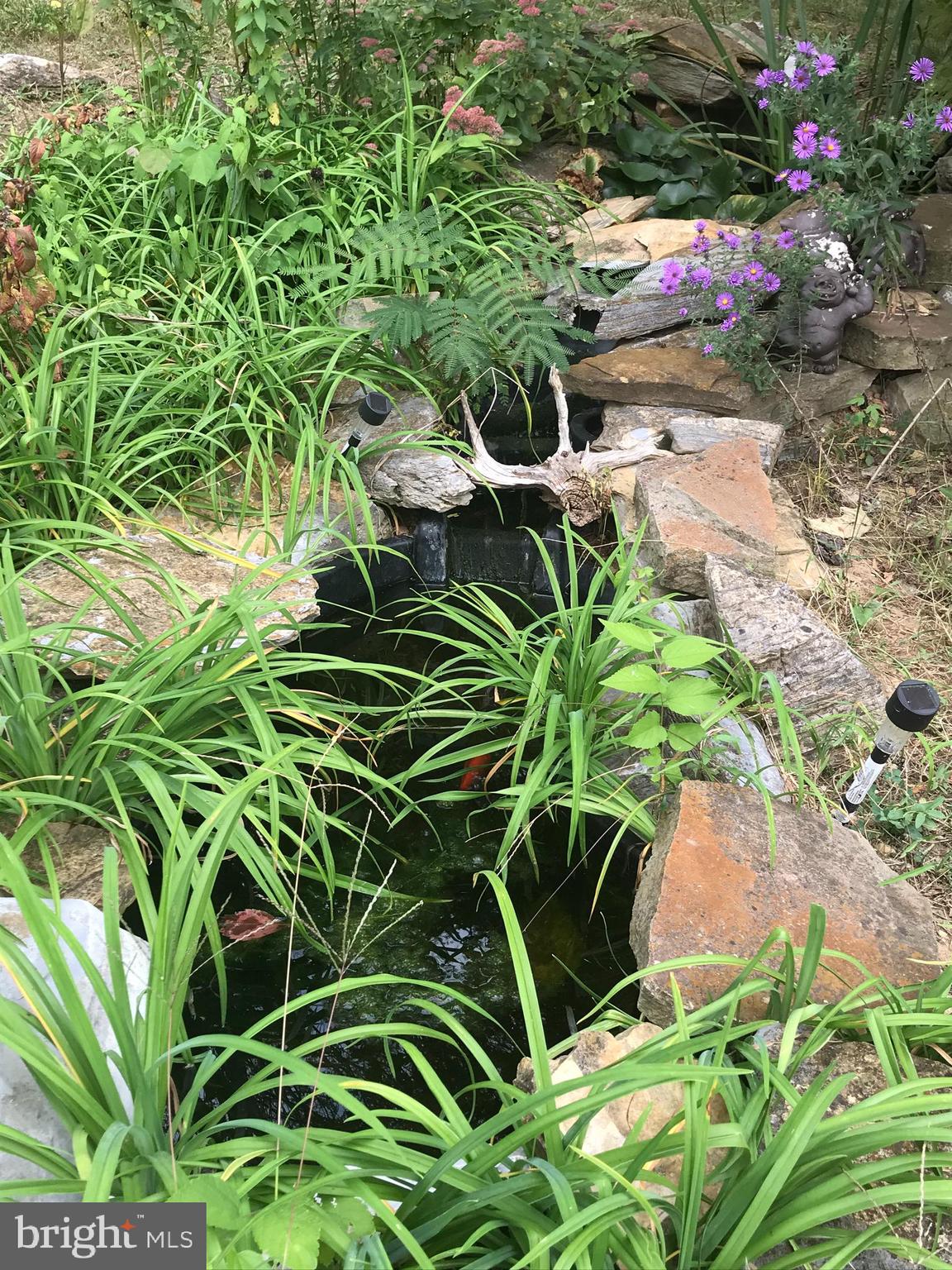 19106 Lappans Road Boonsboro, MD 21713 - Photo 45 of 53 Waterfall pond.