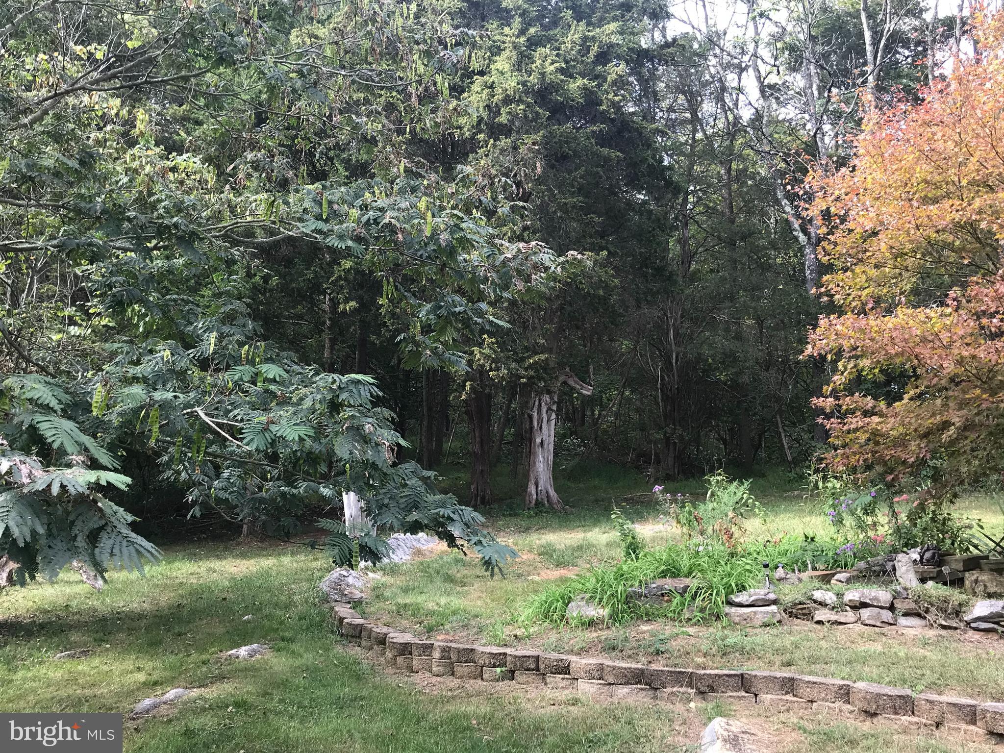 19106 Lappans Road Boonsboro, MD 21713 - Photo 47 of 53 View of backyard gardens.