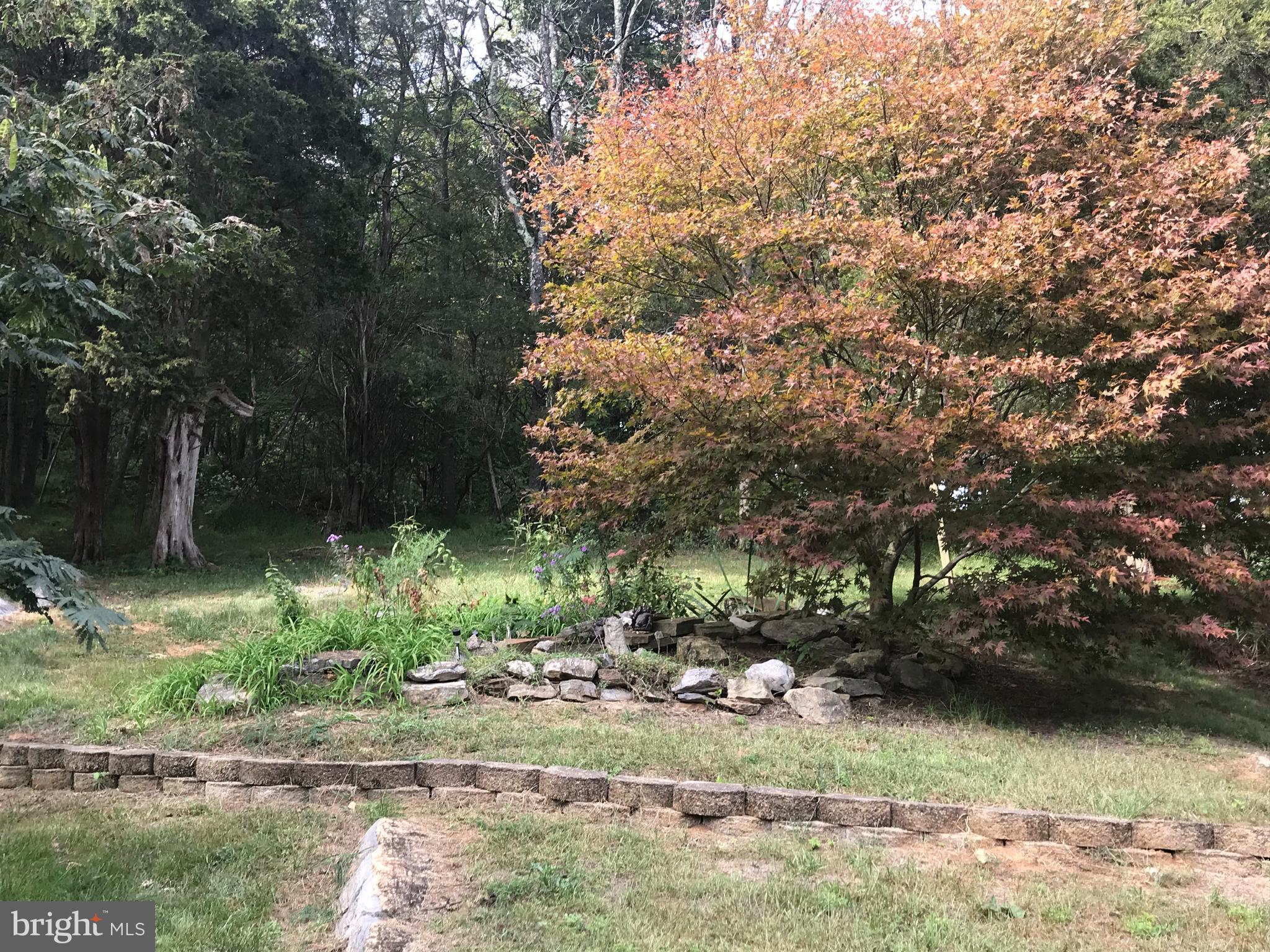 19106 Lappans Road Boonsboro, MD 21713 - Photo 48 of 53 View of backyard.