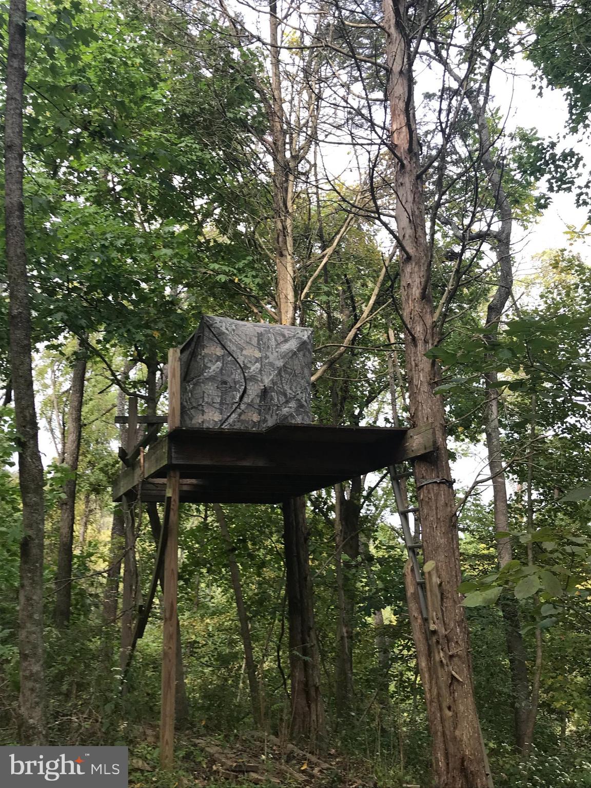 19106 Lappans Road Boonsboro, MD 21713 - Photo 49 of 53 Used as tree stand .