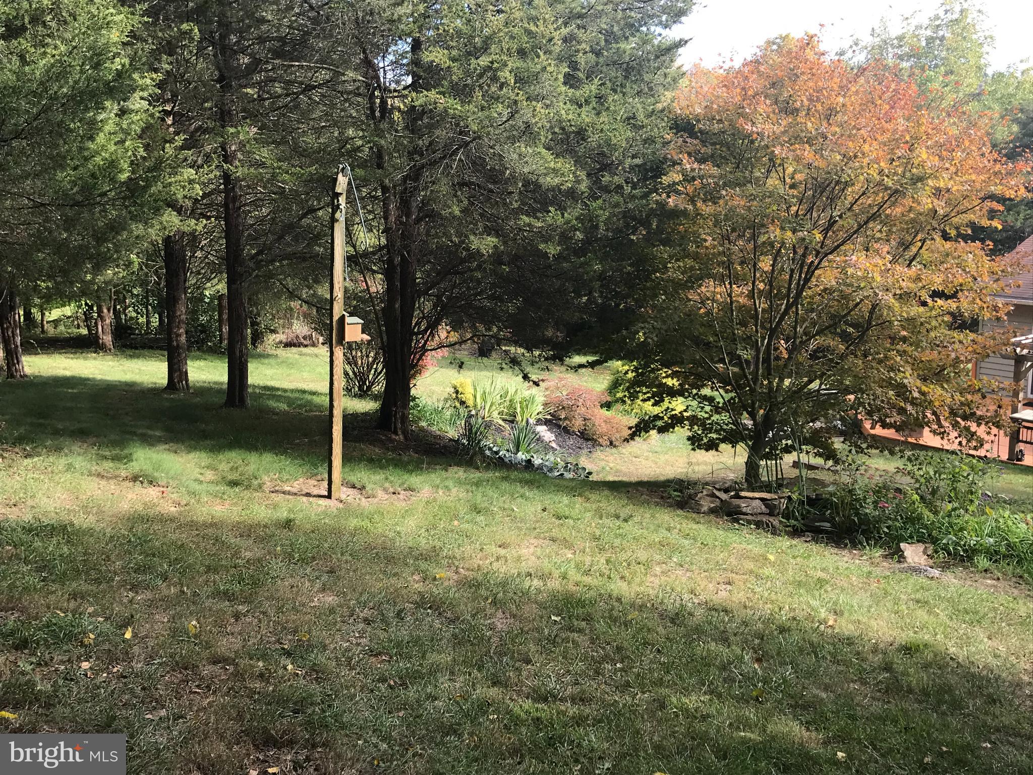 19106 Lappans Road Boonsboro, MD 21713 - Photo 50 of 53 View from backyard.