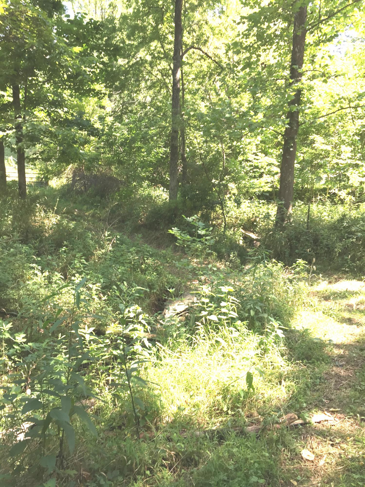506 Double Culvert Road Georgetown, KY 40324 - Photo 31 of 44 Photo 31