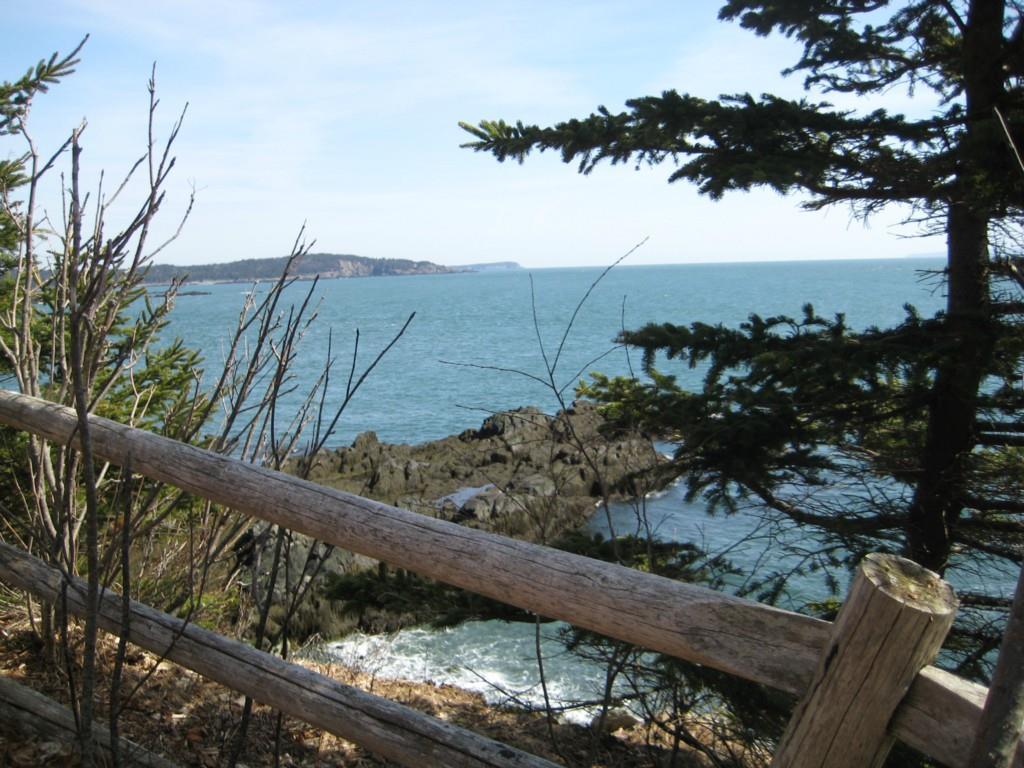Lot 87.8 Shag Rock Road Lubec, ME 04652 - Photo 3 of 31 View along the coast to the north.