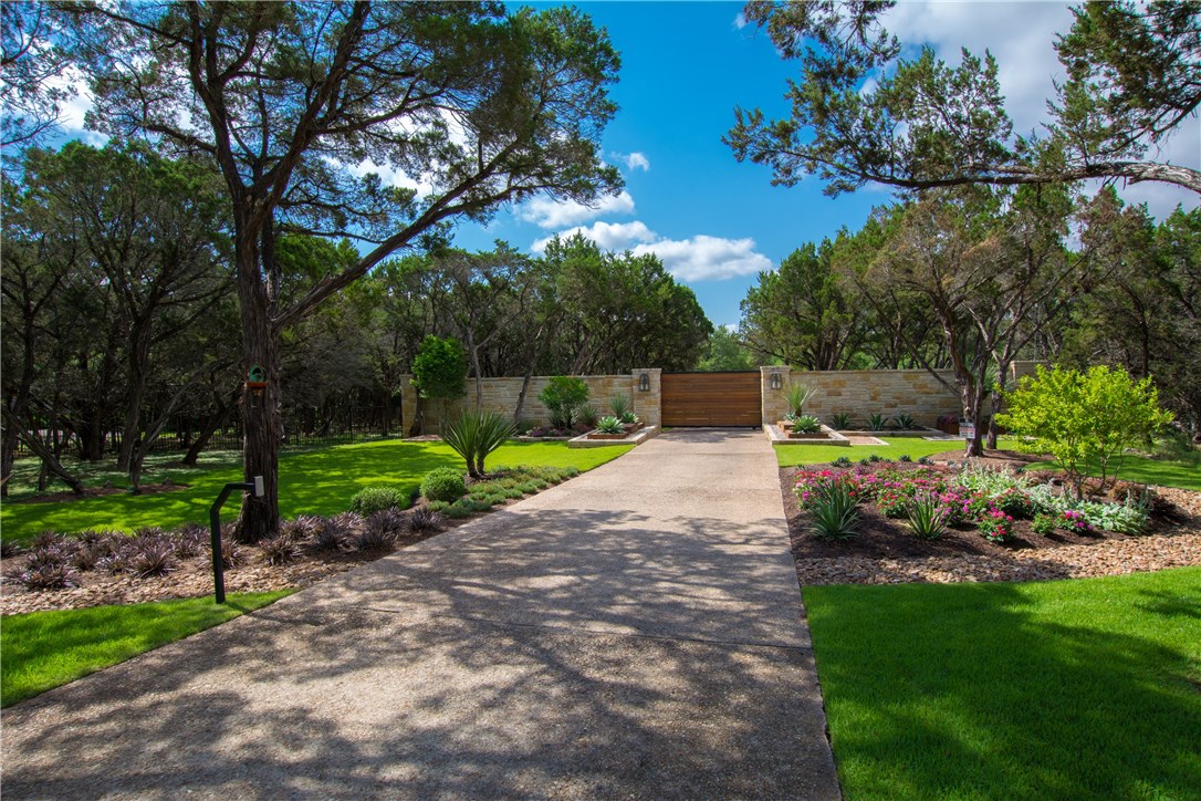 a view of a park with a tree