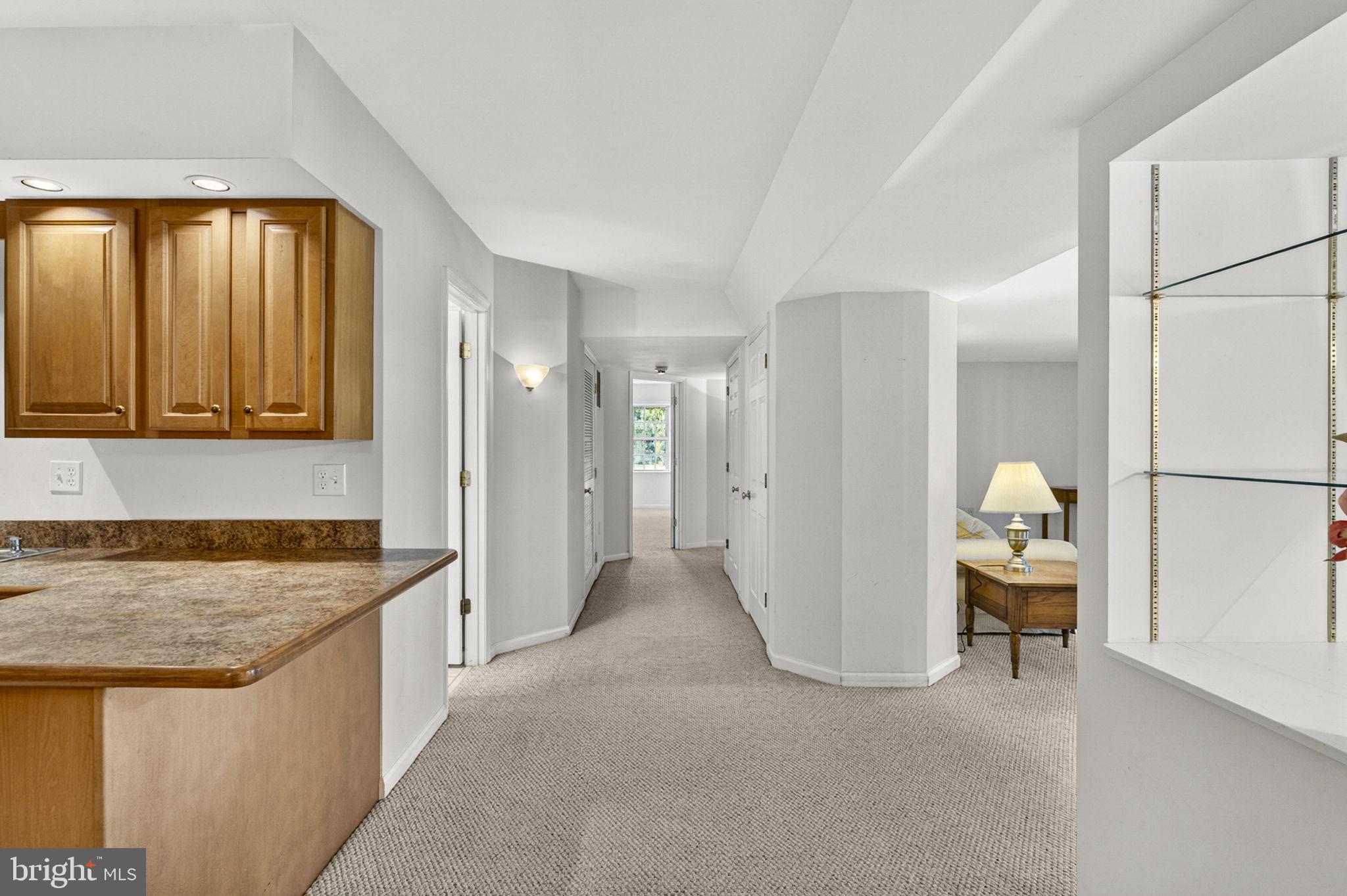 35130 Paxson Road Round Hill, VA 20141 - Photo 32 of 56 Looking down Lower Level Hallway from Kitchen #2