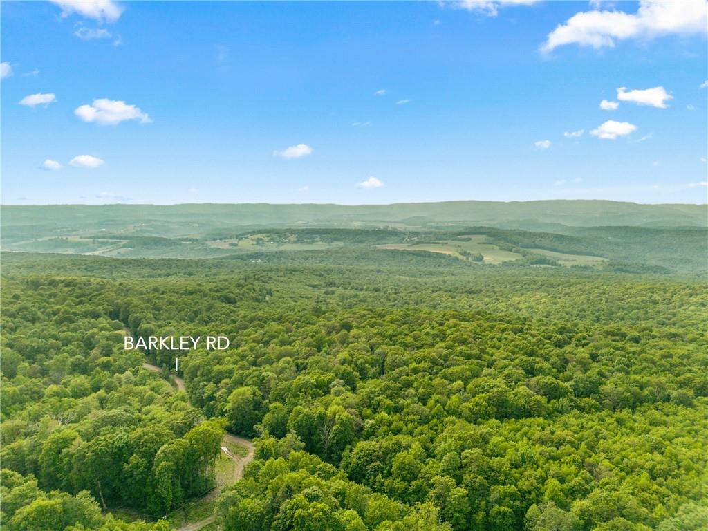 0 Barkley Road Addison, PA 15411 - Photo 11 of 15 Gallery Image 11