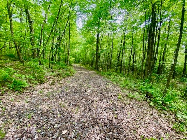 0 Barkley Road Addison, PA 15411 - Photo 4 of 15 Gallery Image 4