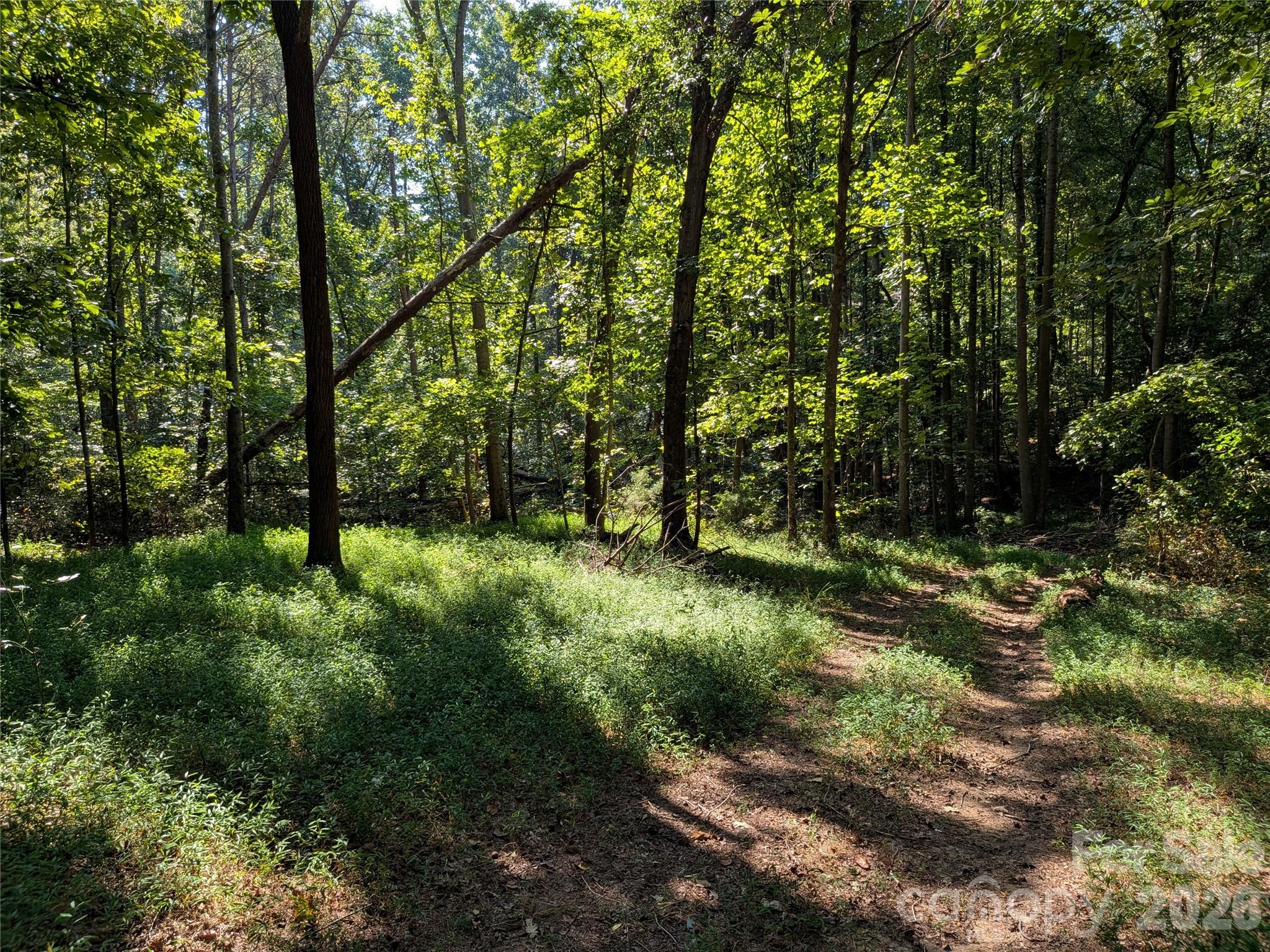 16-acres Dan Rhyne Road Vale, NC 28168 - Photo 17 of 33 Gallery Image 17