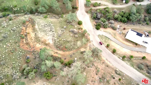 a view of a yard with plants