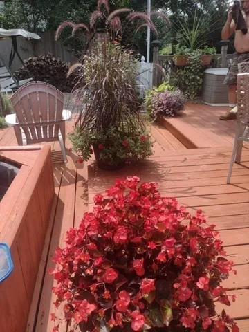 $559,900 | 37 Elmwood Street, Auburn, MA 01501