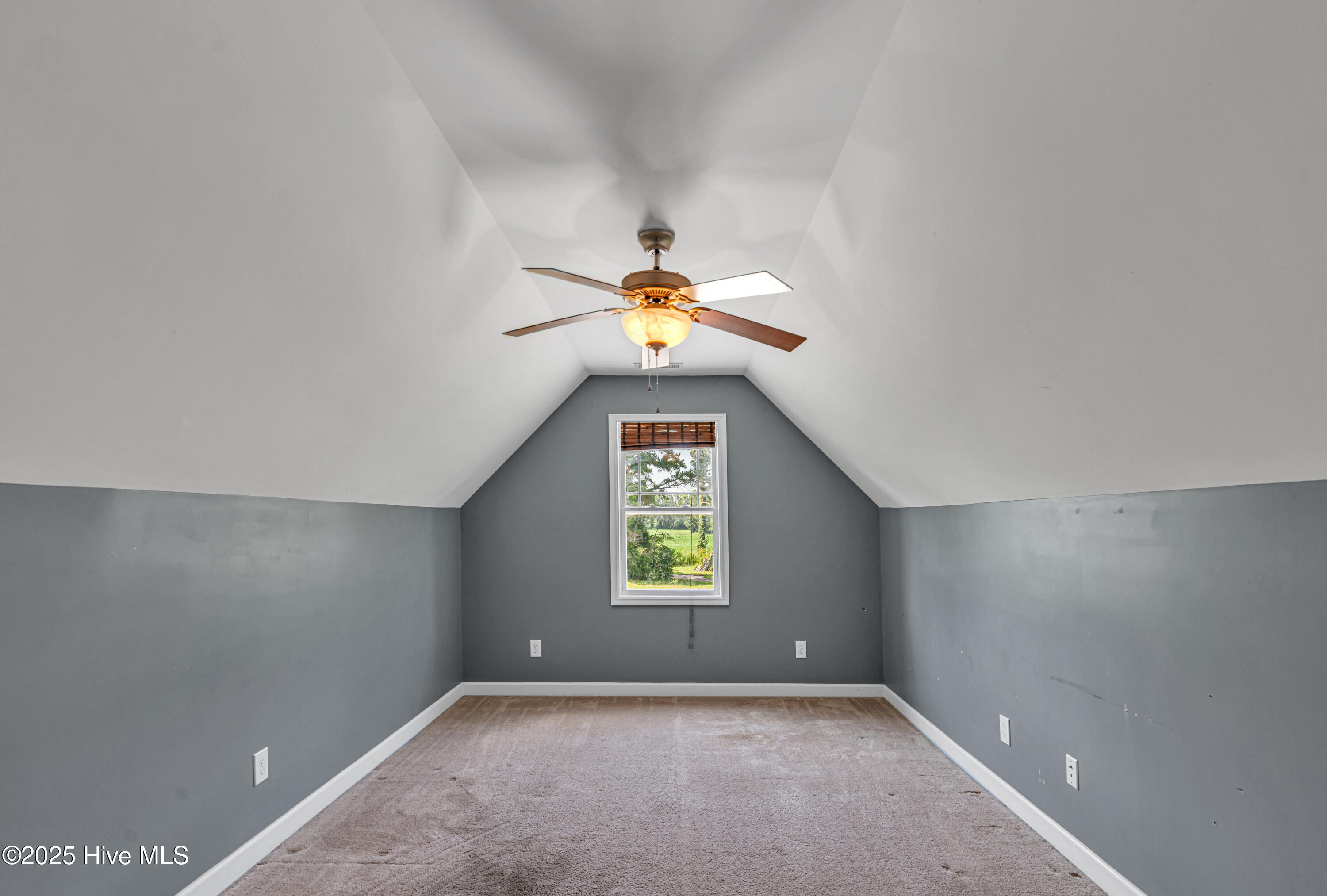 291 Richlands Loop Road Richlands, NC 28574 - Photo 41 of 50 FROG