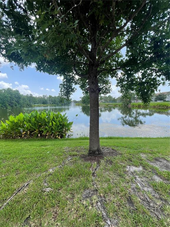 13536 Turtle Marsh Loop, Unit 512 Orlando, FL 32837 - Photo 19 of 19