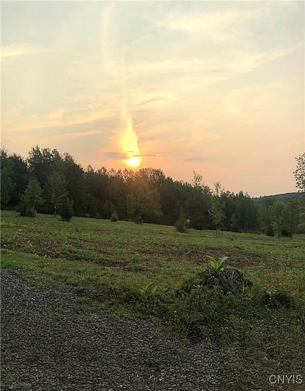 Midlum Road Truxton, NY 13158 - Photo 5 of 10