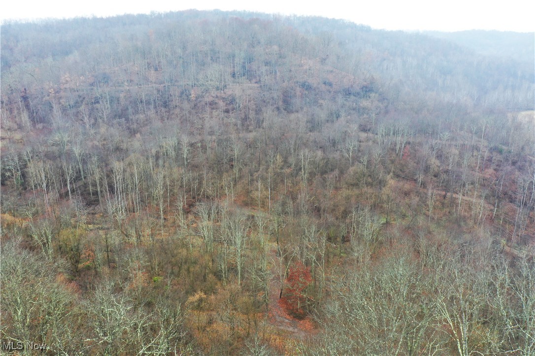 Hoot Owl Ridge Road Caldwell, OH 43724 - Photo 31 of 40 Drone / aerial view featuring a mountain view