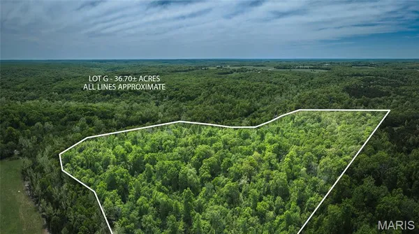 $286,260 | 0 Lot G Armadillo Lane, Leslie, MO 63056