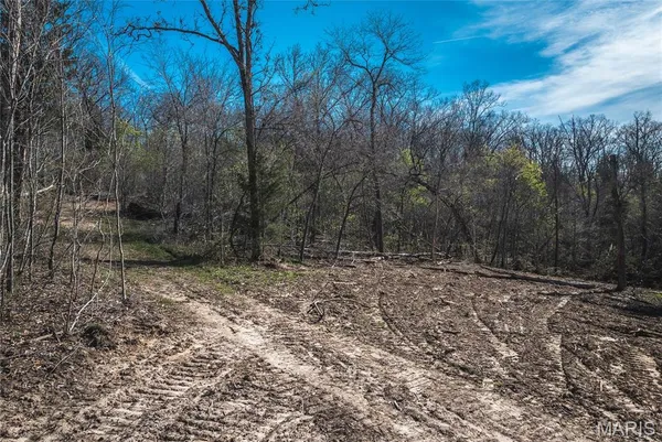 $286,260 | 0 Lot G Armadillo Lane, Leslie, MO 63056