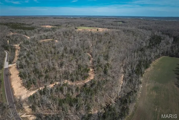 $286,260 | 0 Lot G Armadillo Lane, Leslie, MO 63056
