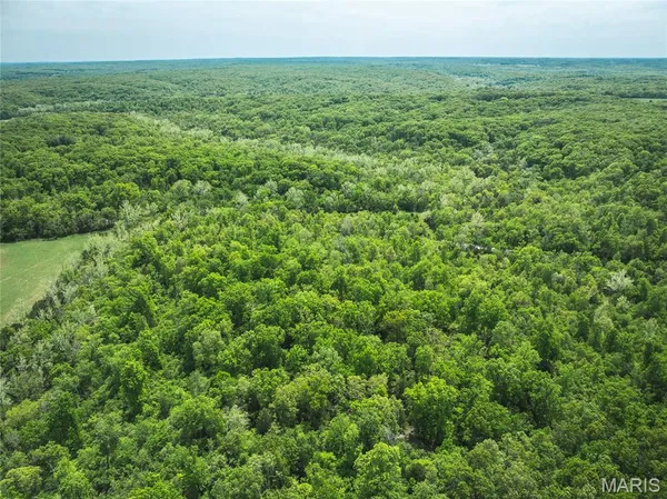 $286,260 | 0 Lot G Armadillo Lane, Leslie, MO 63056
