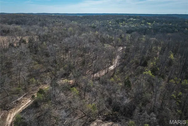 $286,260 | 0 Lot G Armadillo Lane, Leslie, MO 63056