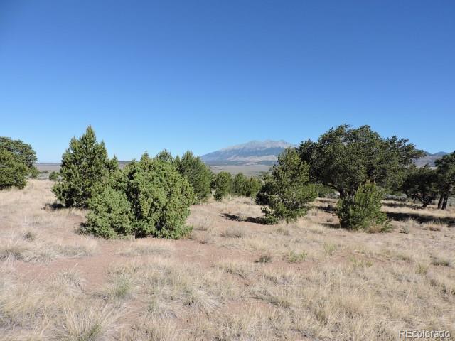 7247 Reg Jones Road Fort Garland, CO 81133 - Photo 6 of 14 Gallery Image 6