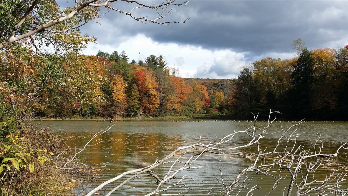 1720 County Route 12 De Ruyter, NY 13052 - Photo 2 of 49