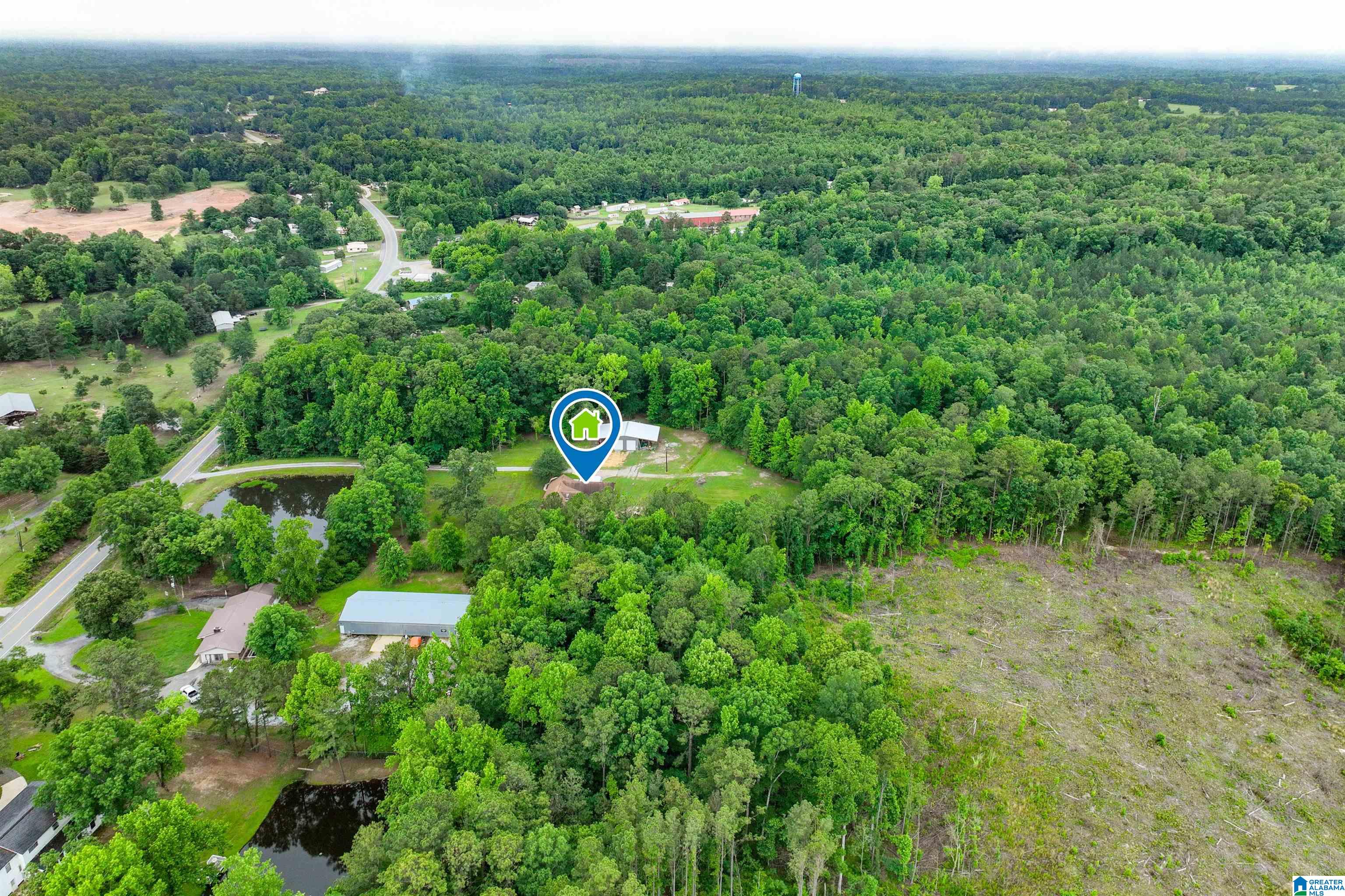 3869 Highway 155 Montevallo, AL 35115 - Photo 60 of 66