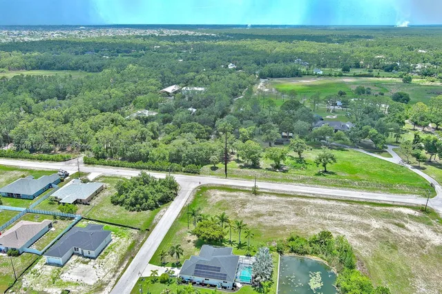 a view of a garden with a pathway